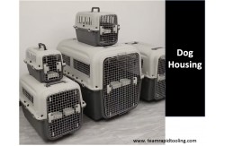 Dog House: Design, Materials, and Custom Manufacturing Guide