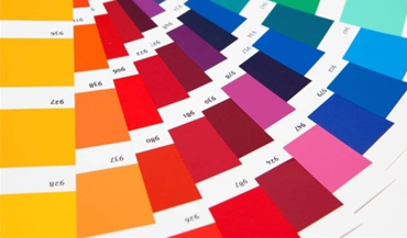 Pantone Color Pantone Color