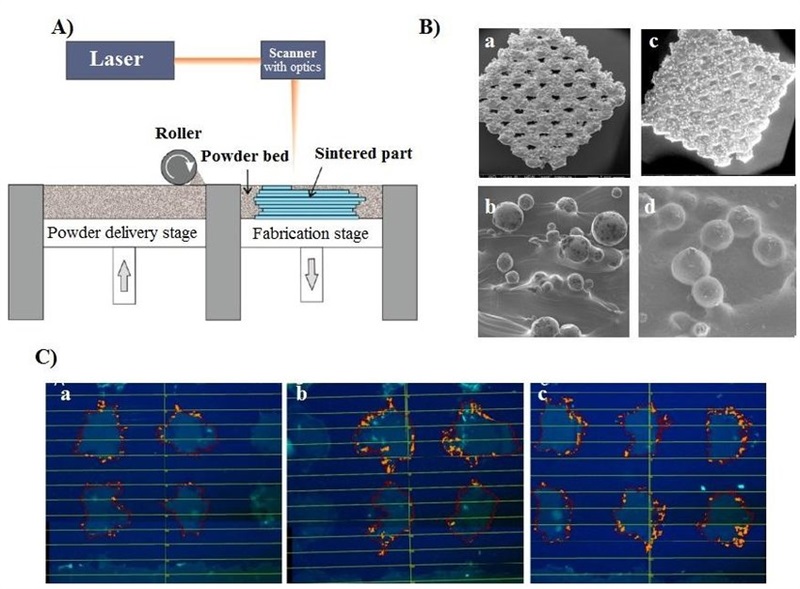 Selective Laser Sintering